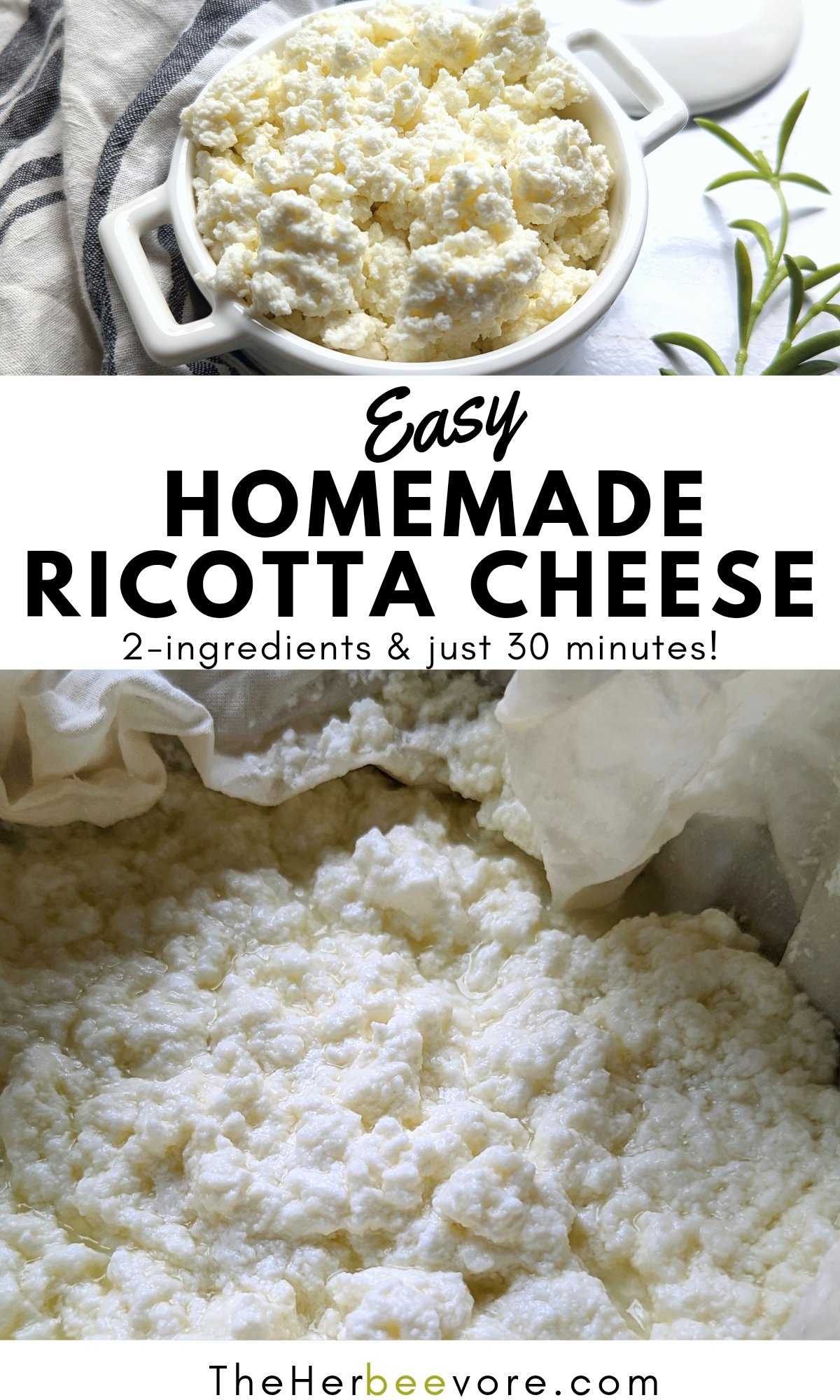 Whole Milk Ricotta Cheese Recipe Only 2 Ingredients The Herbeevore 