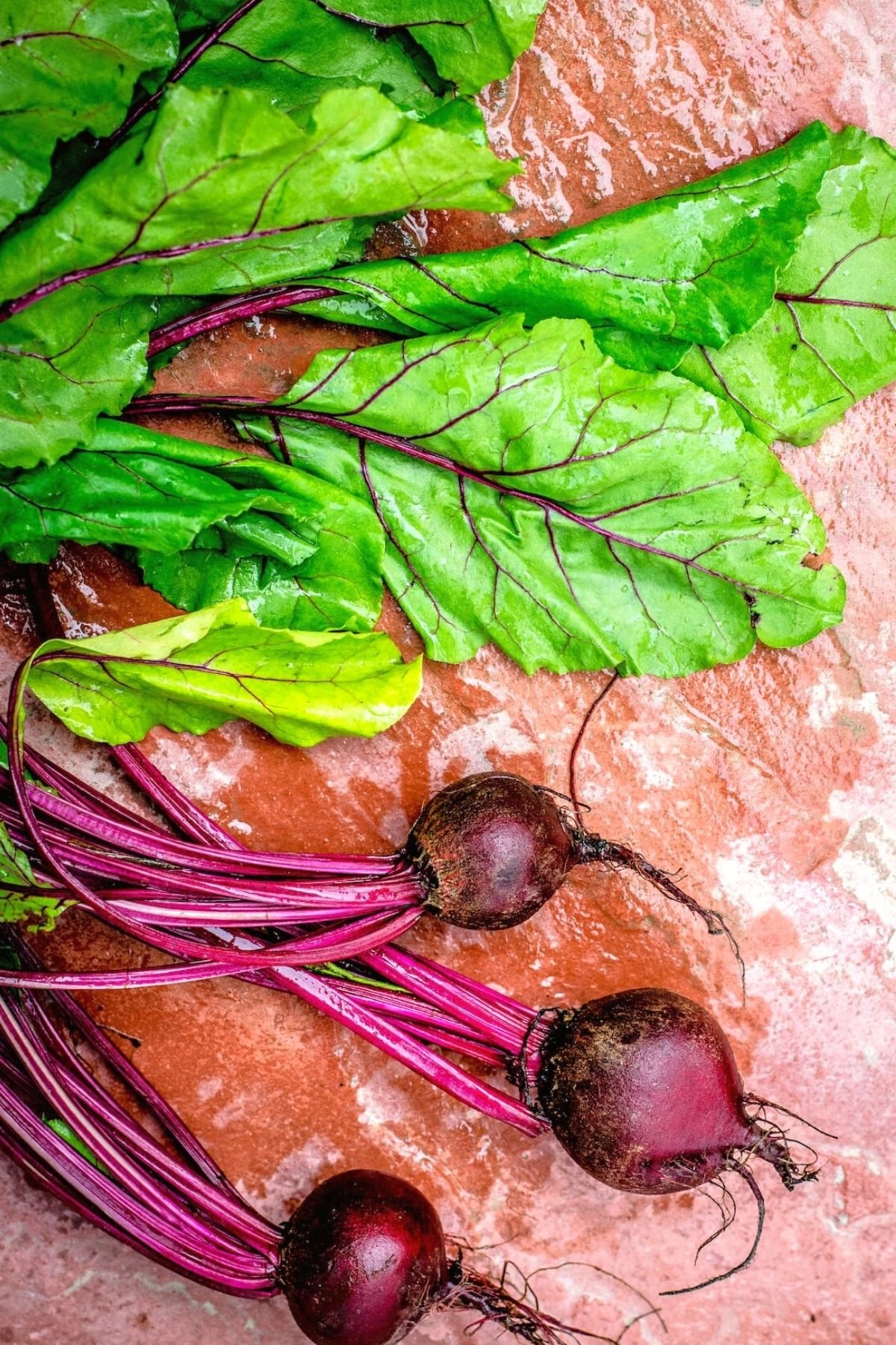 beet green recipes healthy ways to cook beet greens in a smoothie from red or golden beet greens