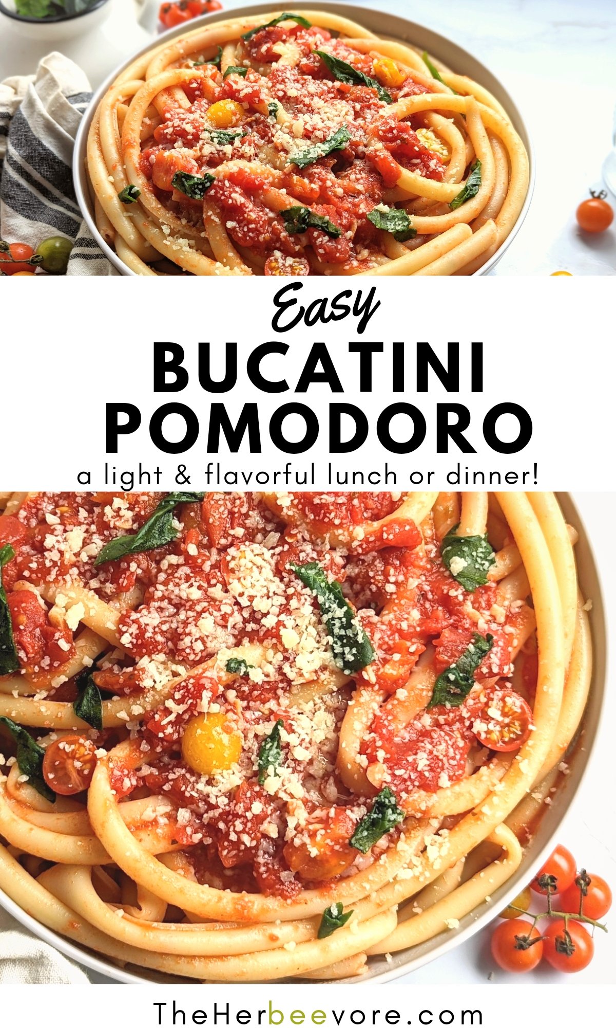 bucatini pomodoro recipe healthy fresh tomato pasta best sauces for bucatini pasta recipes