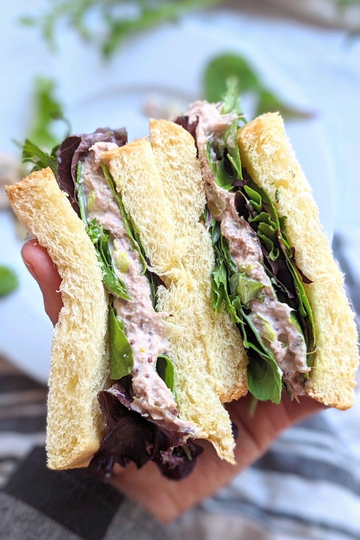 no mayo tuna salad with yogurt healthy tuna salad sandwich without mayonnaise recipe