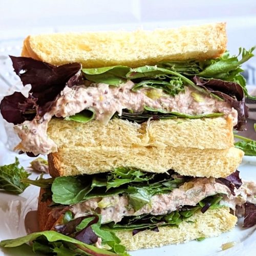 greek yogurt tuna salad recipe high protein tuna recipes no mayo without mayonnaise