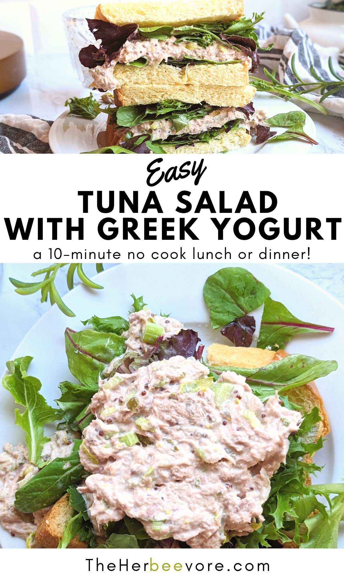 Tuna Salad With Greek Yogurt Recipe The Herbeevore