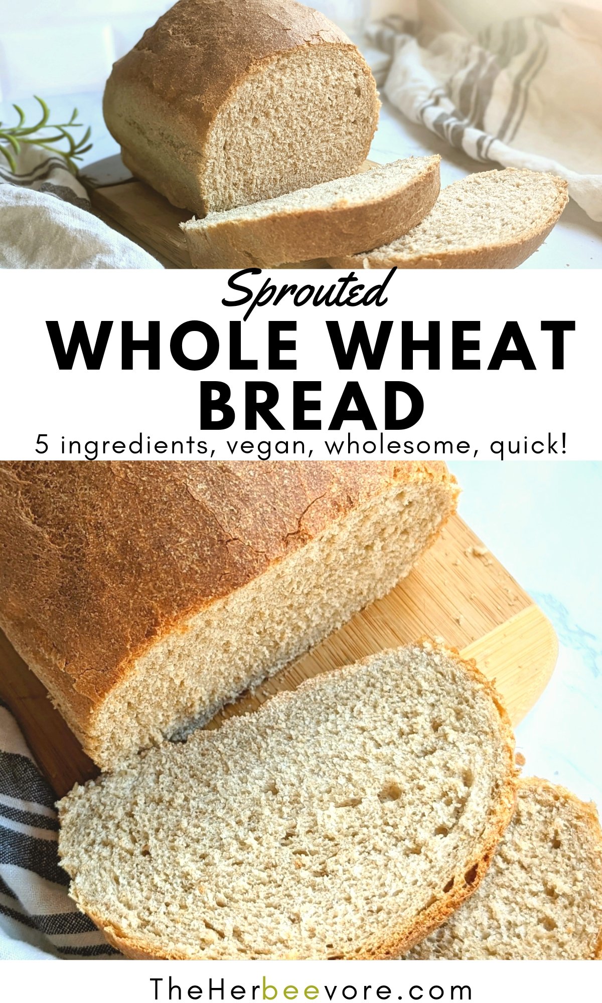 sprouted whole wheat bread recipe with one degree organics sprouted wheat flour recipe vegan egg free dairy free