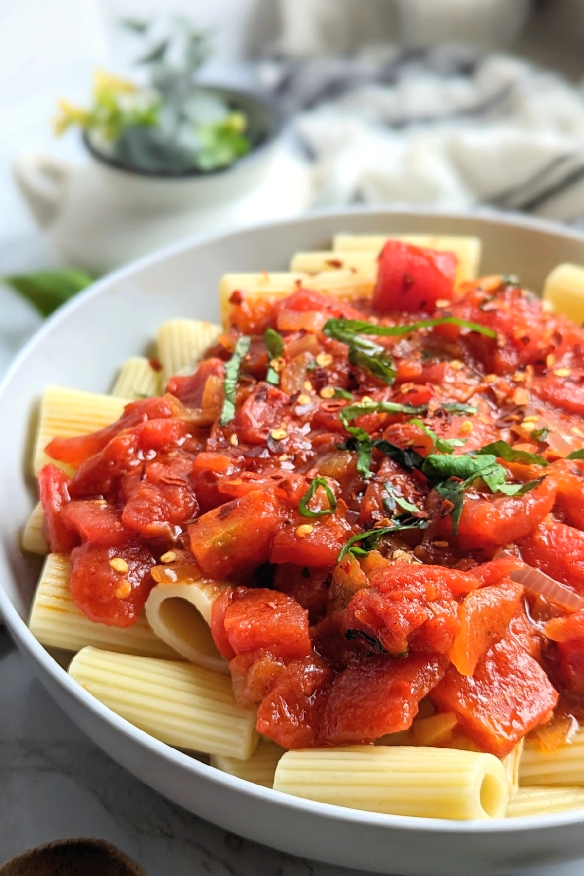 rigatoni arrabbiata pasta recipe vegan vegetarian meatless arrabbiata sauce for rigatoni noodles italian spicy sauce thick pasta