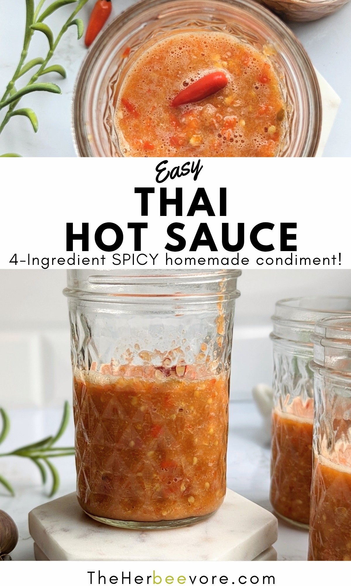 thai hot sauce recipe fire api condiment with Malaysian chili pepper sauce recipe with garlic and vinegar