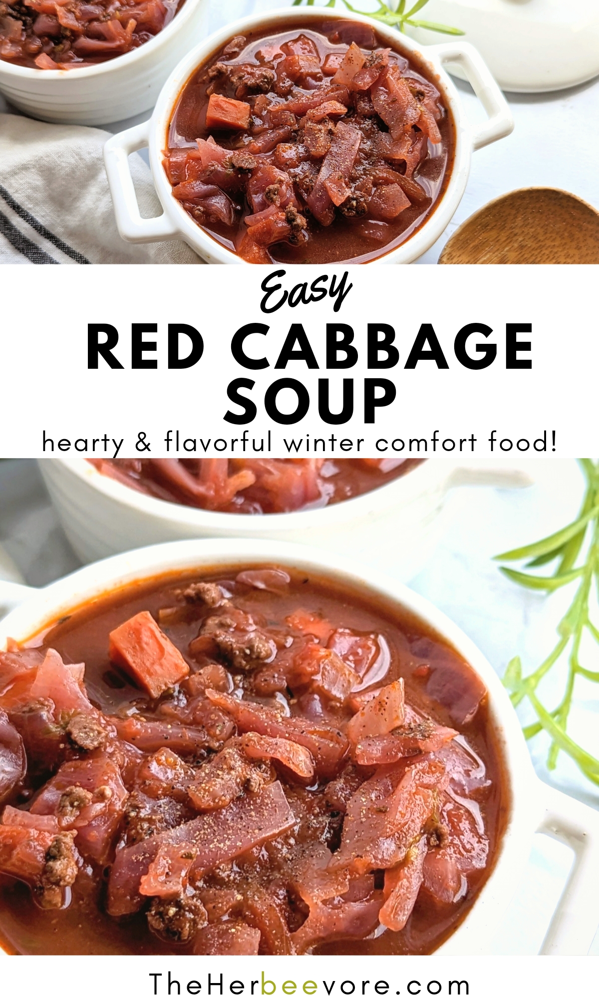 red cabbage soup recipe with ground beef cabbage soup and stew recipes with purple cabbage tomato soup