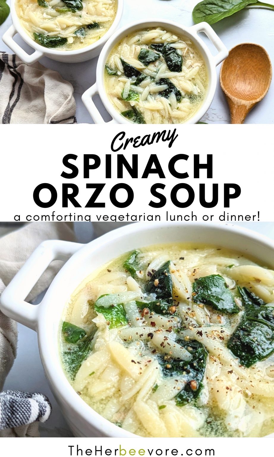 Spinach Orzo Soup Recipe