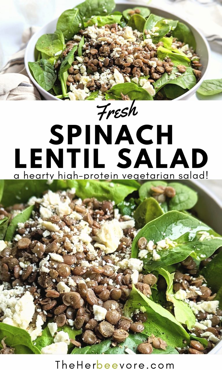 Spinach Lentil Salad with Vinaigrette Recipe (Vegetarian) - The Herbeevore