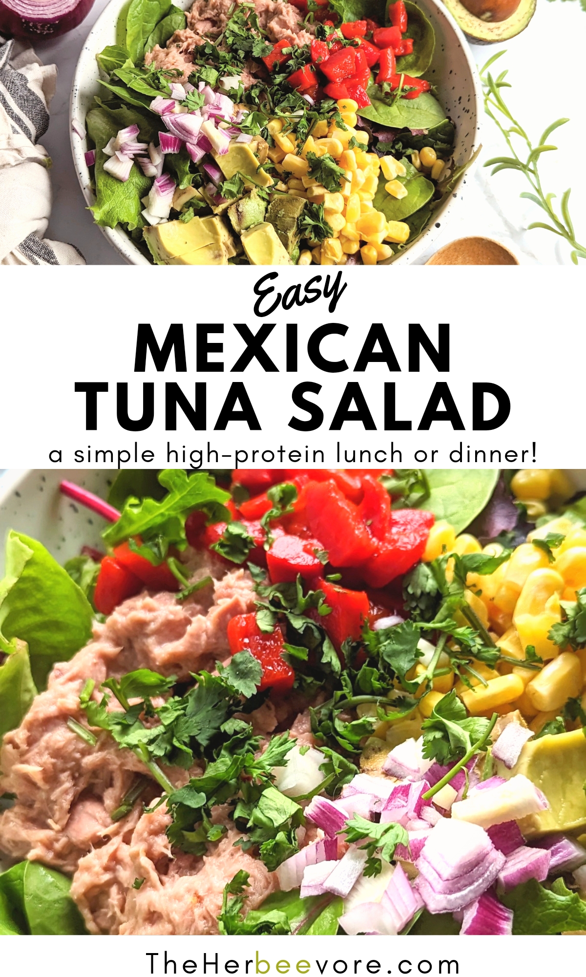 mexican tuna salad recipe easy tuna salad with vegetables and vinaigrette dressing