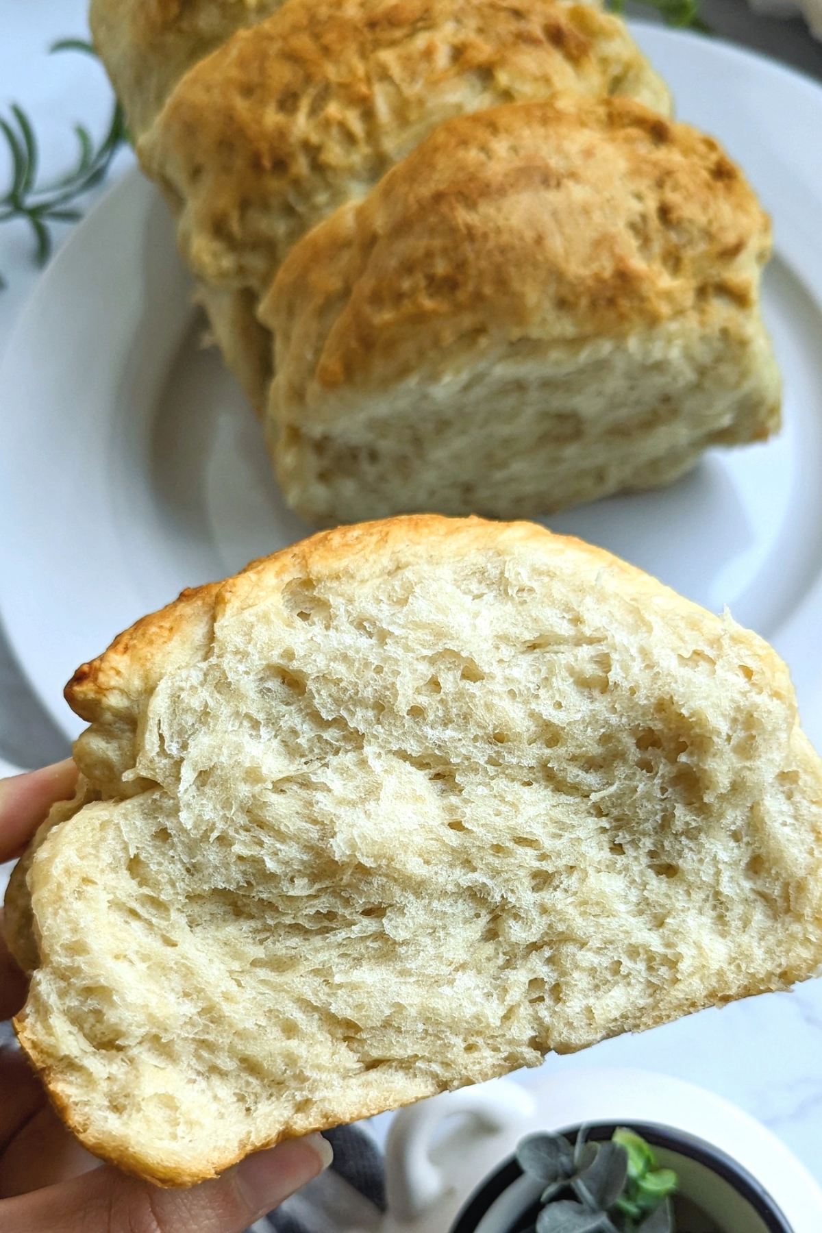 brioche bread without eggs baking no eggs easy sweet bread without using eggs egg free brioche bread recipe with whole milk and butter