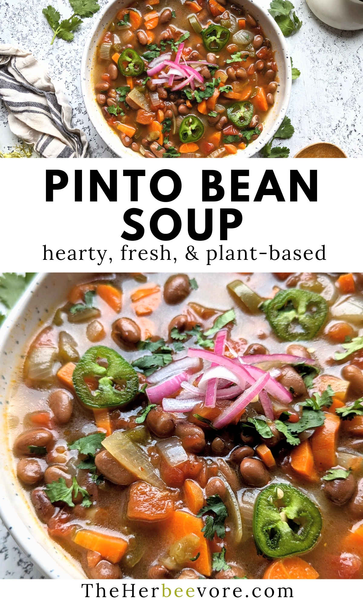pinto bean soup recipe vegan vegetarian healthy fresh and spicy soup recipes with beans