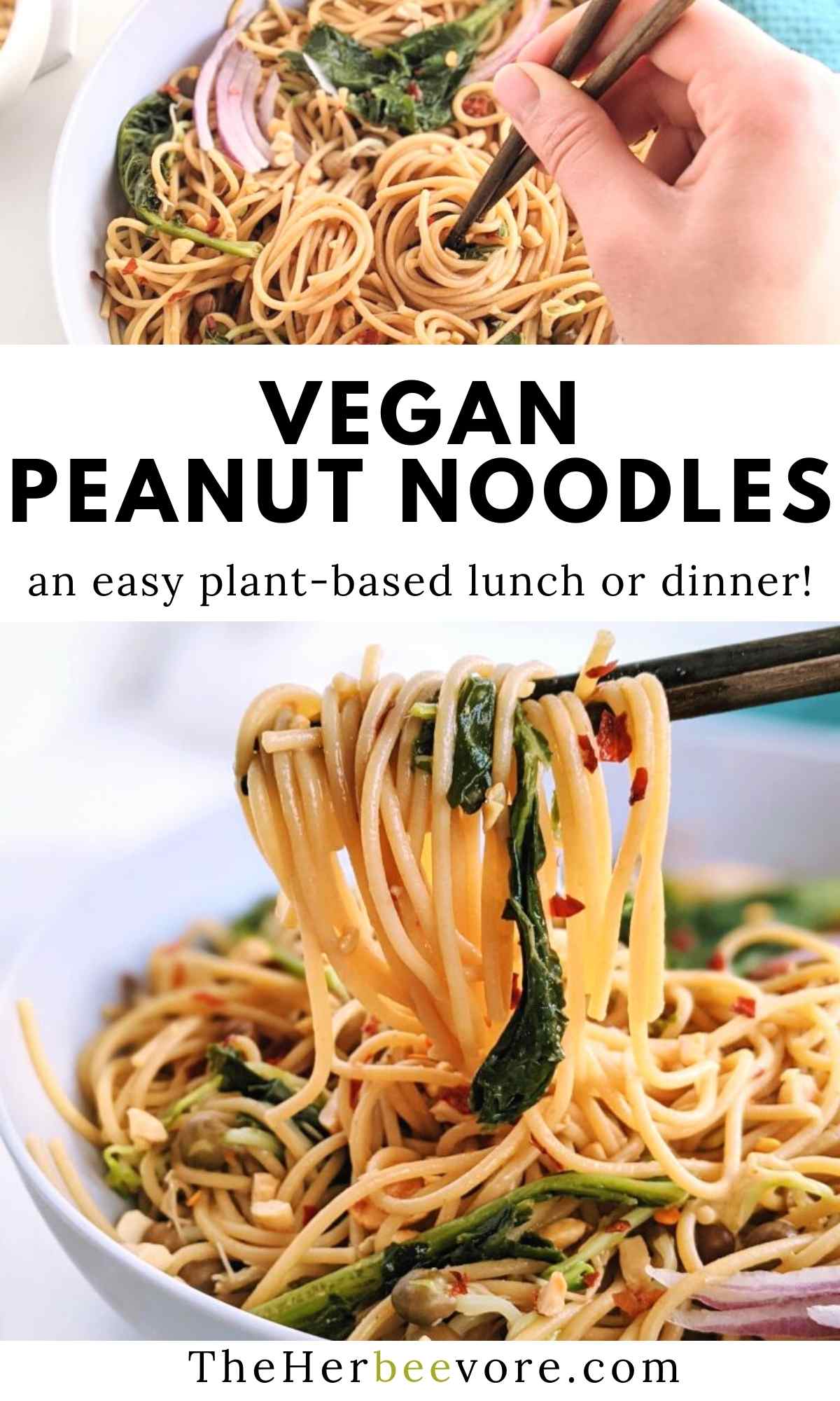 vegan peanut noodles recipehigh protein meal prep lunches or dinners asian inspiration thai noodles with peanuts