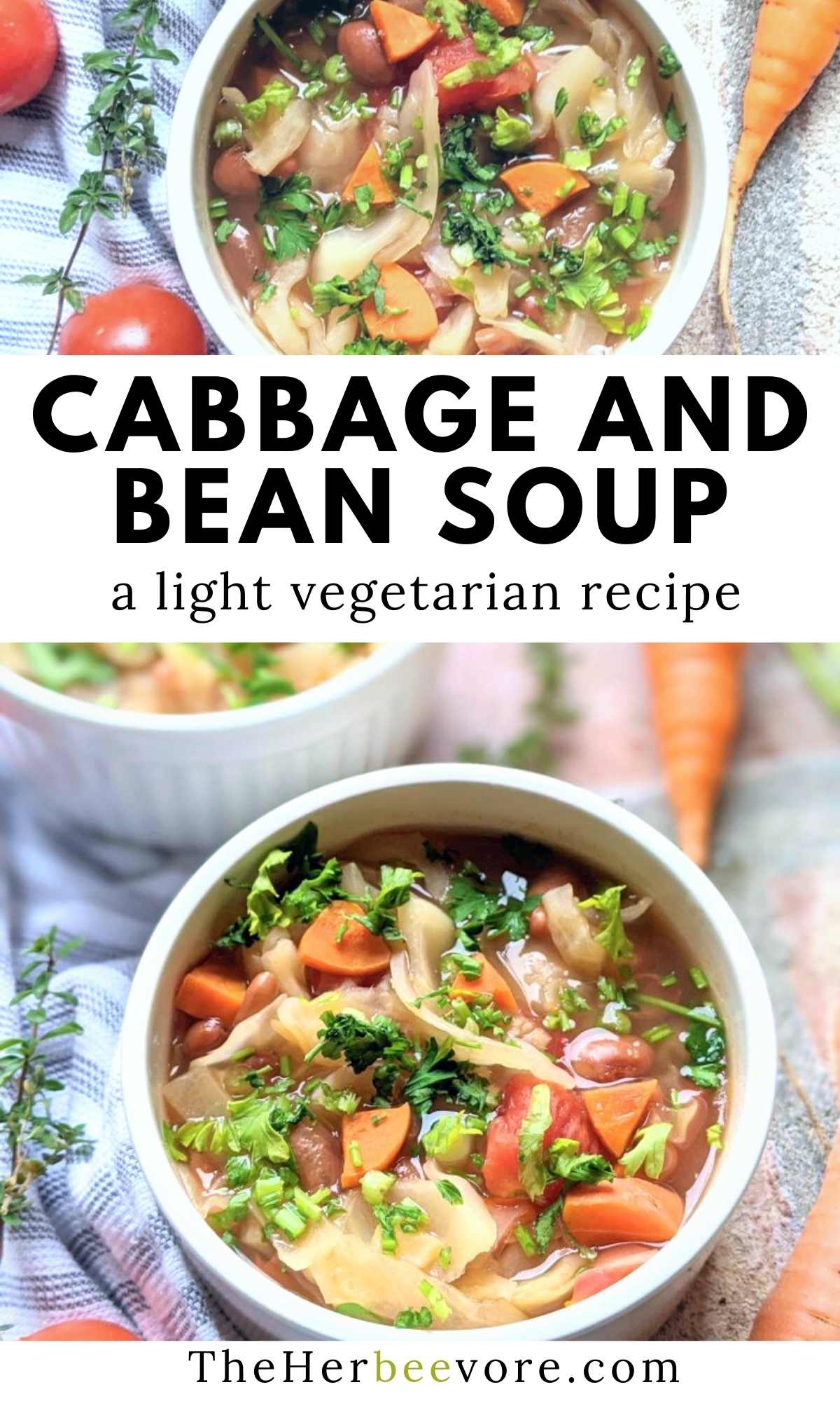 cabbage and bean soup recipe vegan vegetarian recipes healthy easy soups for dinner