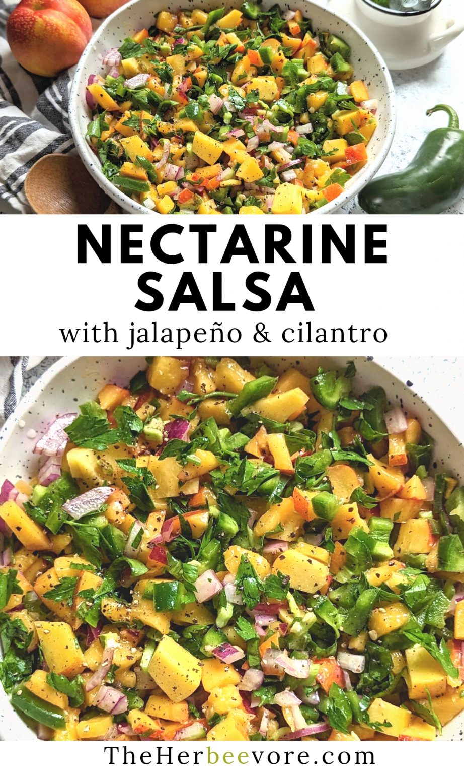 Nectarine Salsa Recipe Sweet & Spicy Summer Fruit Salsa The Herbeevore
