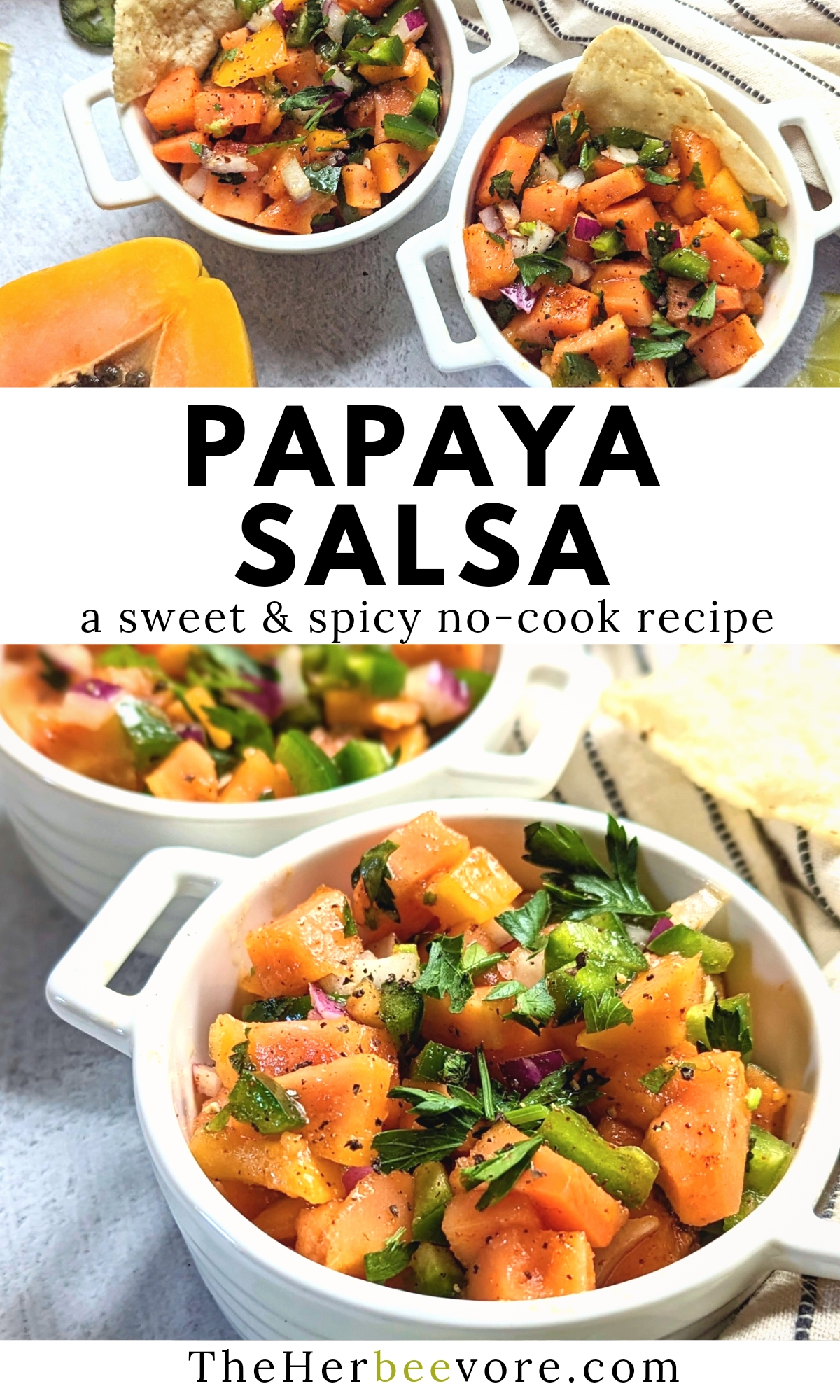 papaya salsa recipe a sweet and spicy no cook dip or appetizer fruit salsa with cilantro and lime