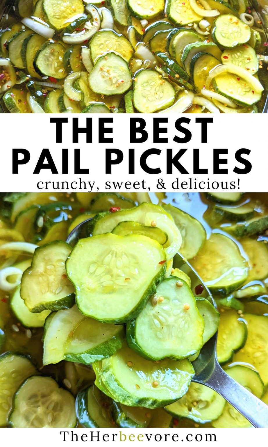 The Best Pail Pickles A NoCook Recipe You Make in a Bucket The