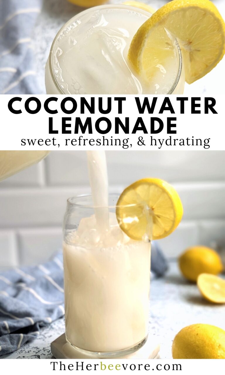 Coconut Water Lemonade Recipe (Dairy Free Creamy Lemonade) The Herbeevore