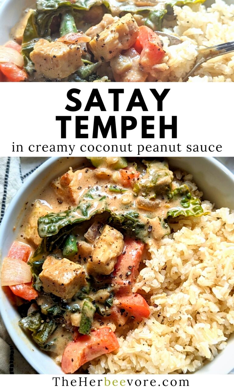 Creamy Satay Tempeh Recipe The Herbeevore