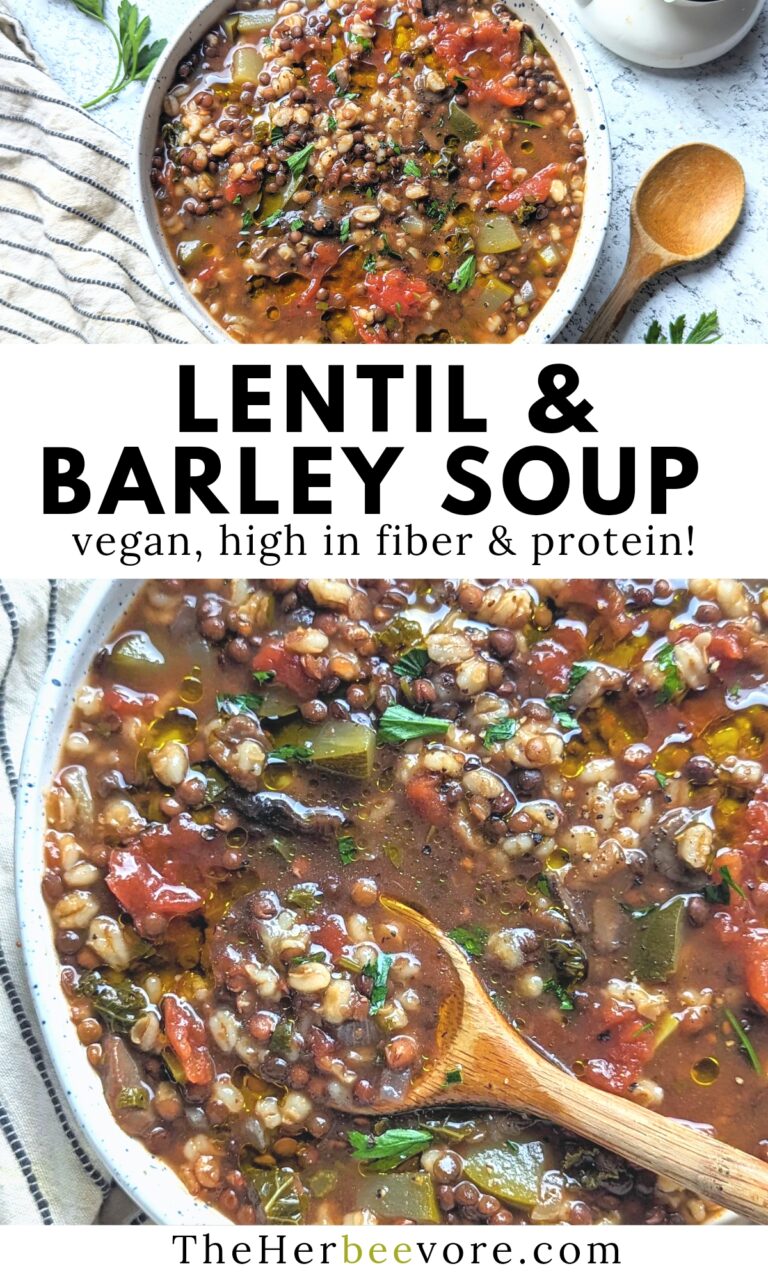 Lentil Barley Soup Recipe - The Herbeevore