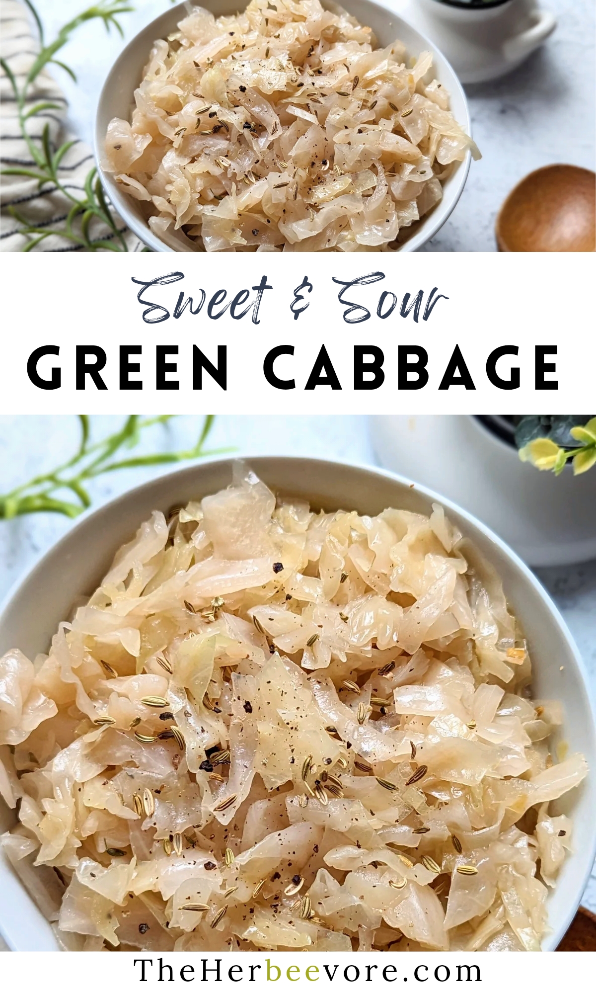 sweet and sour green cabbage recipe bohemian cabbage recipe czech style cabbage
