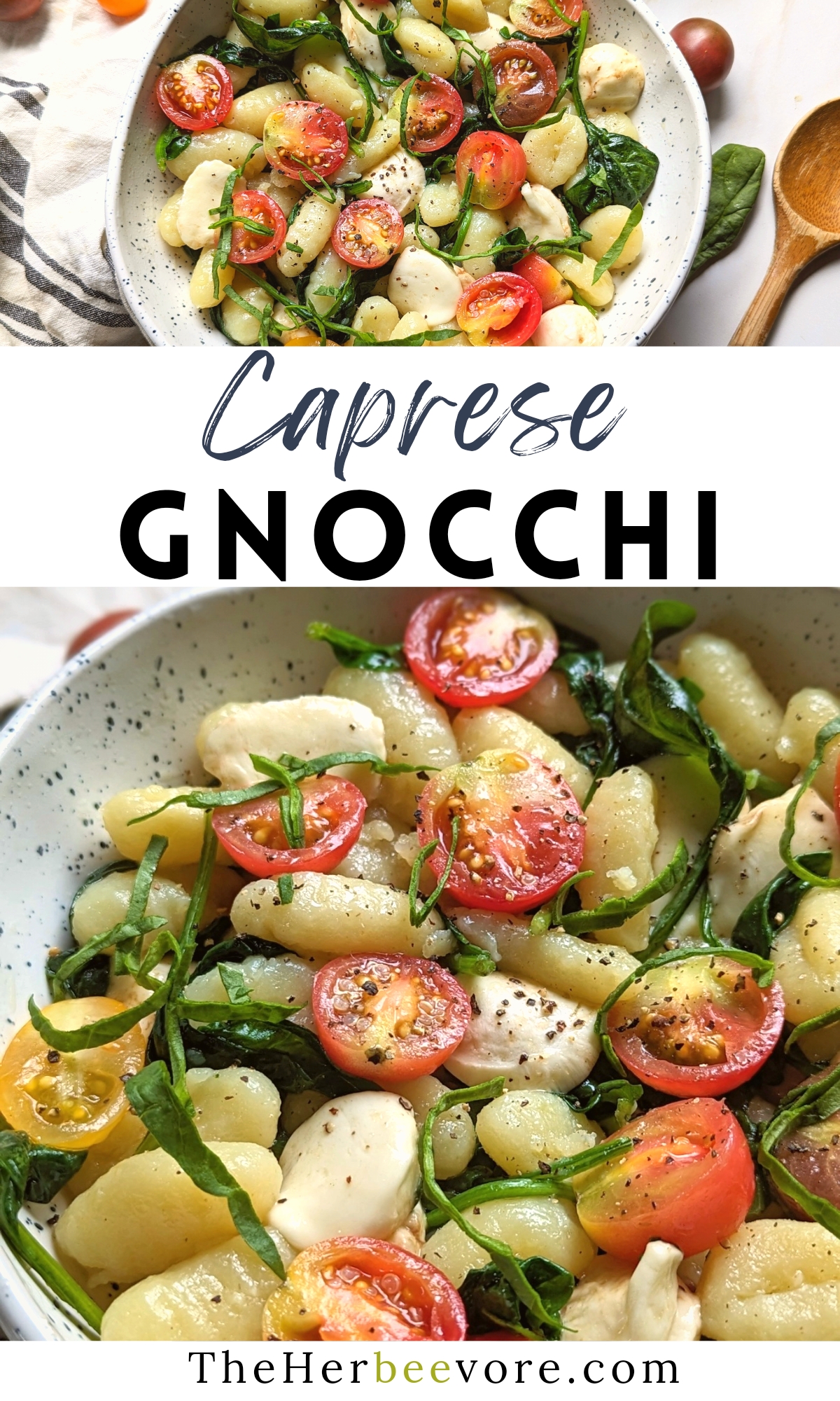 caprese gnocchi recipe with a creamy parmesan cheese sauce tomatoes mozzarella cheese basil and spinach