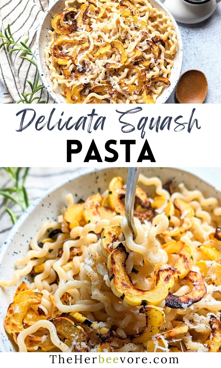 Roasted Delicata Squash Pasta Recipe - The Herbeevore