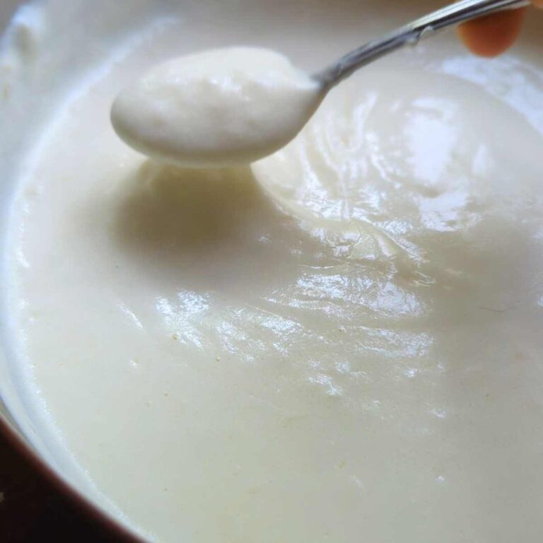 Sour Cream Alfredo Pasta Sauce Recipe The Herbeevore