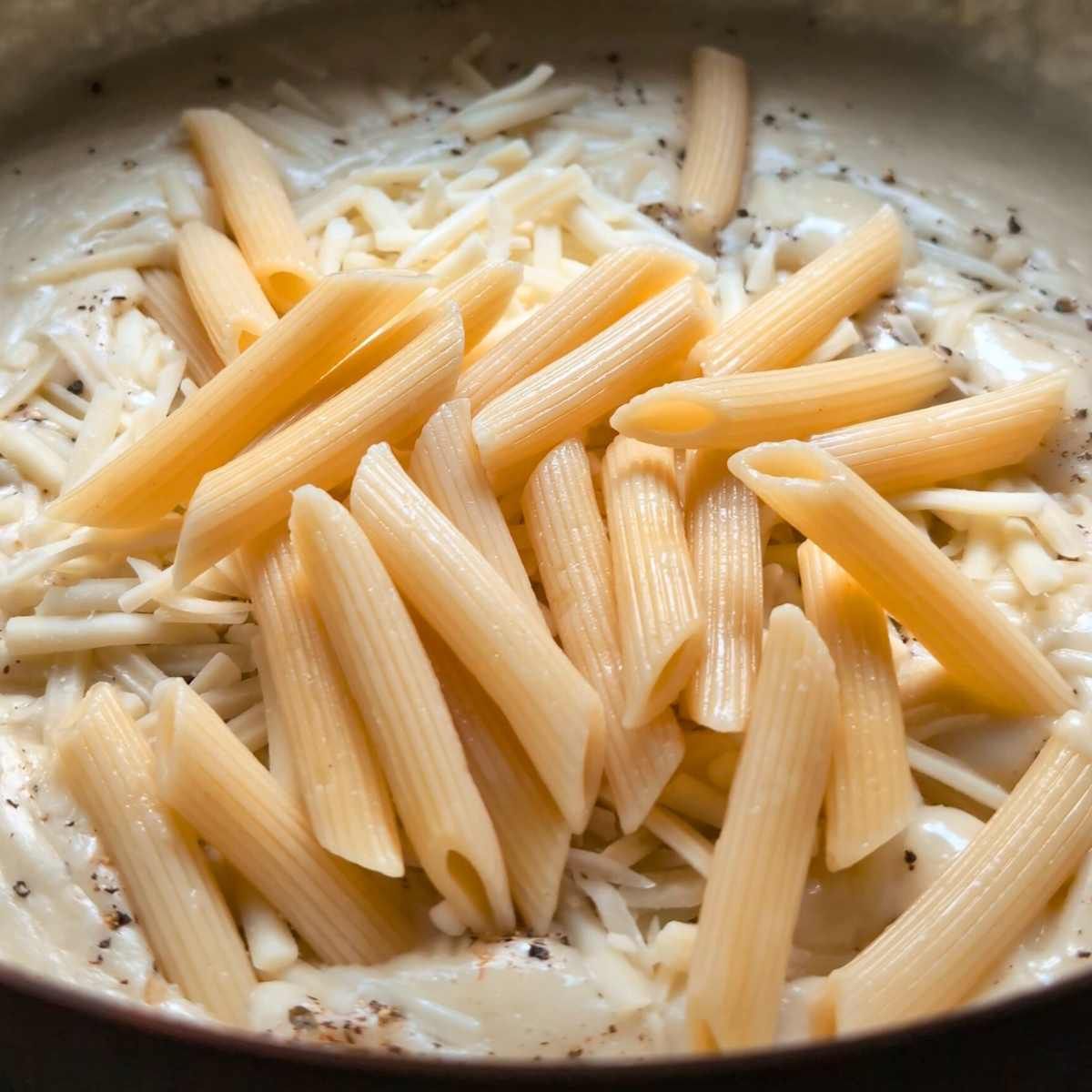 a pan with a bechemel sauce with cooked penne mozzarella cheese garlic and a cheesy sauce.
