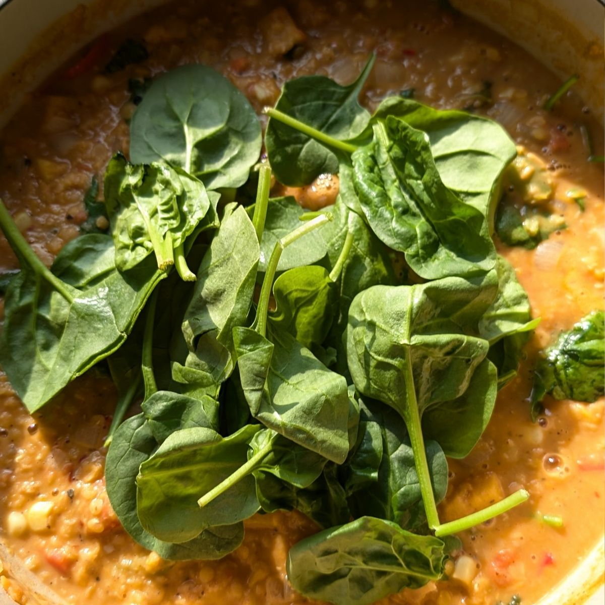 butternut squash lentil dahl with spinach in a pot ready to eat.