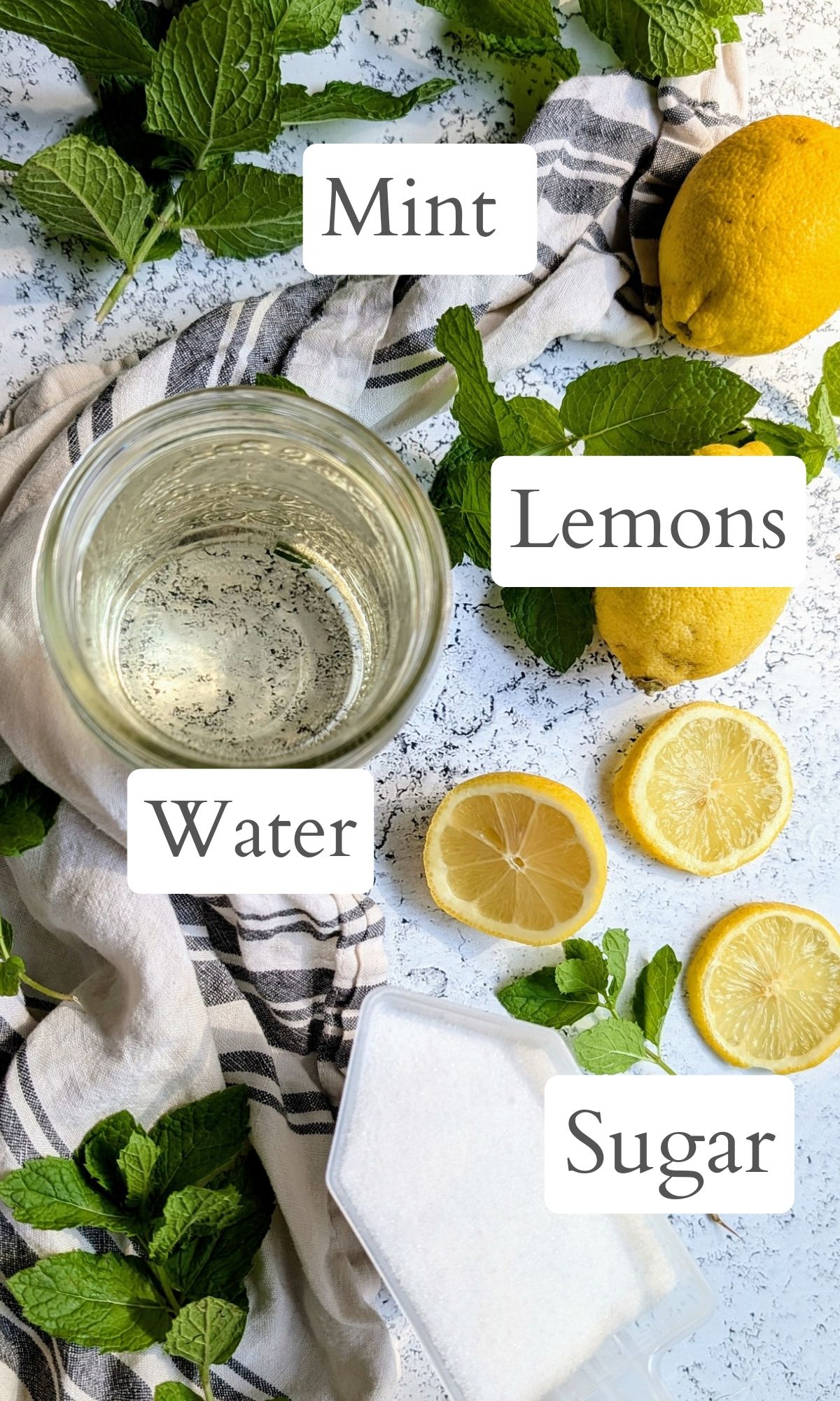 mint lemonade ingredients like fresh lemons, water, sugar, and fresh mint.
