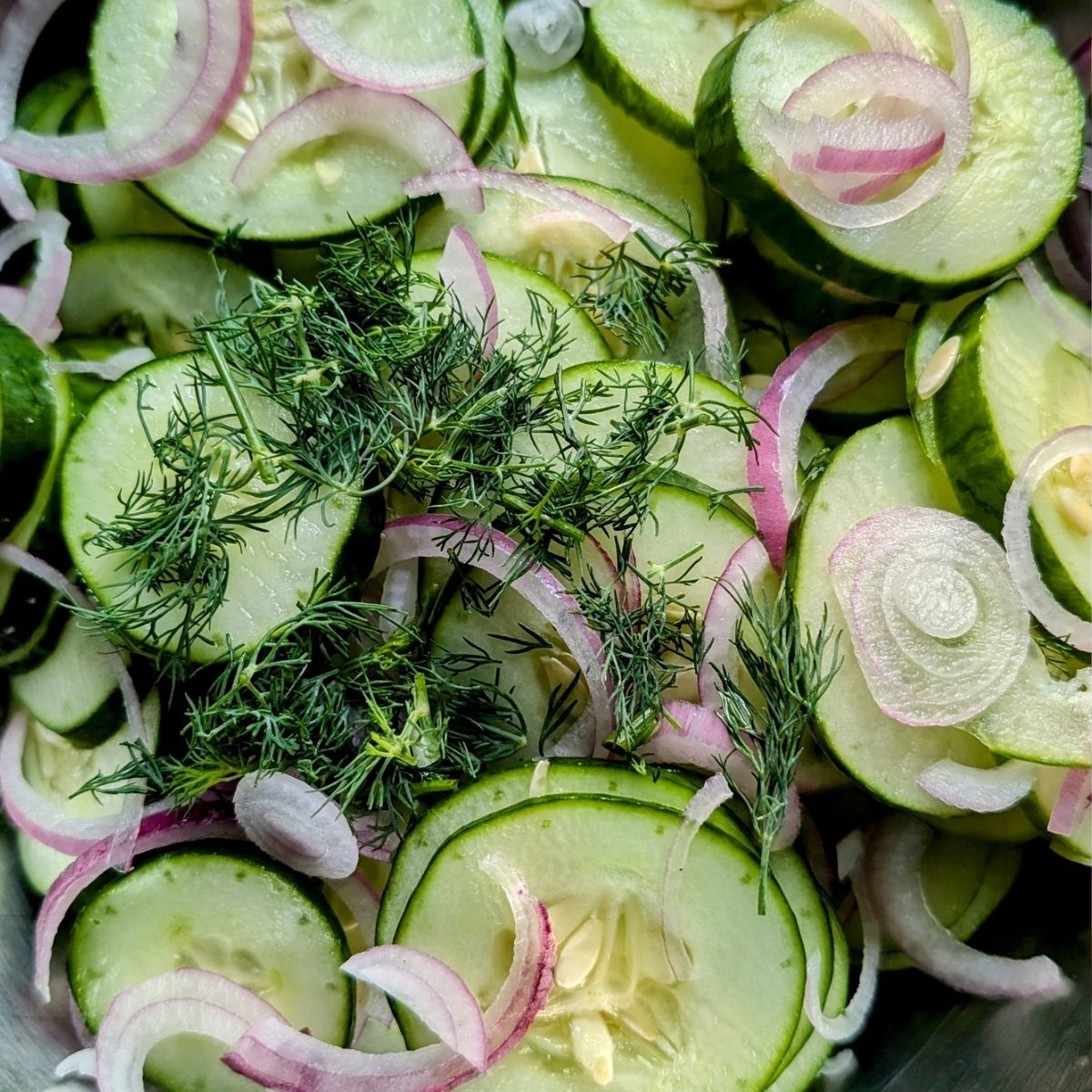 a bowl of cucumbers and red onions with fresh chopped dill for a summer salad.