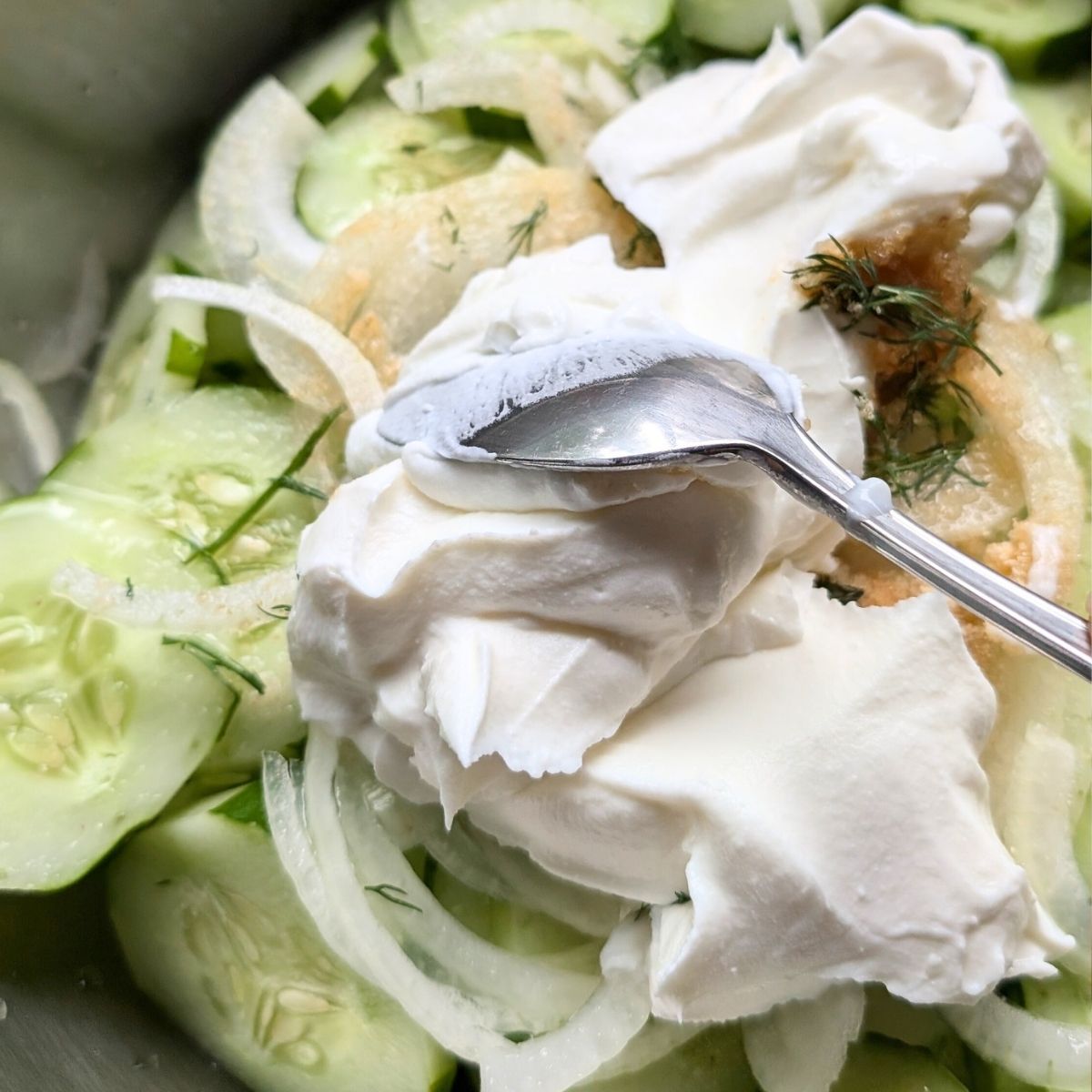 cucumber and sour cream salad with dill onions and spices in a large serving bowl.