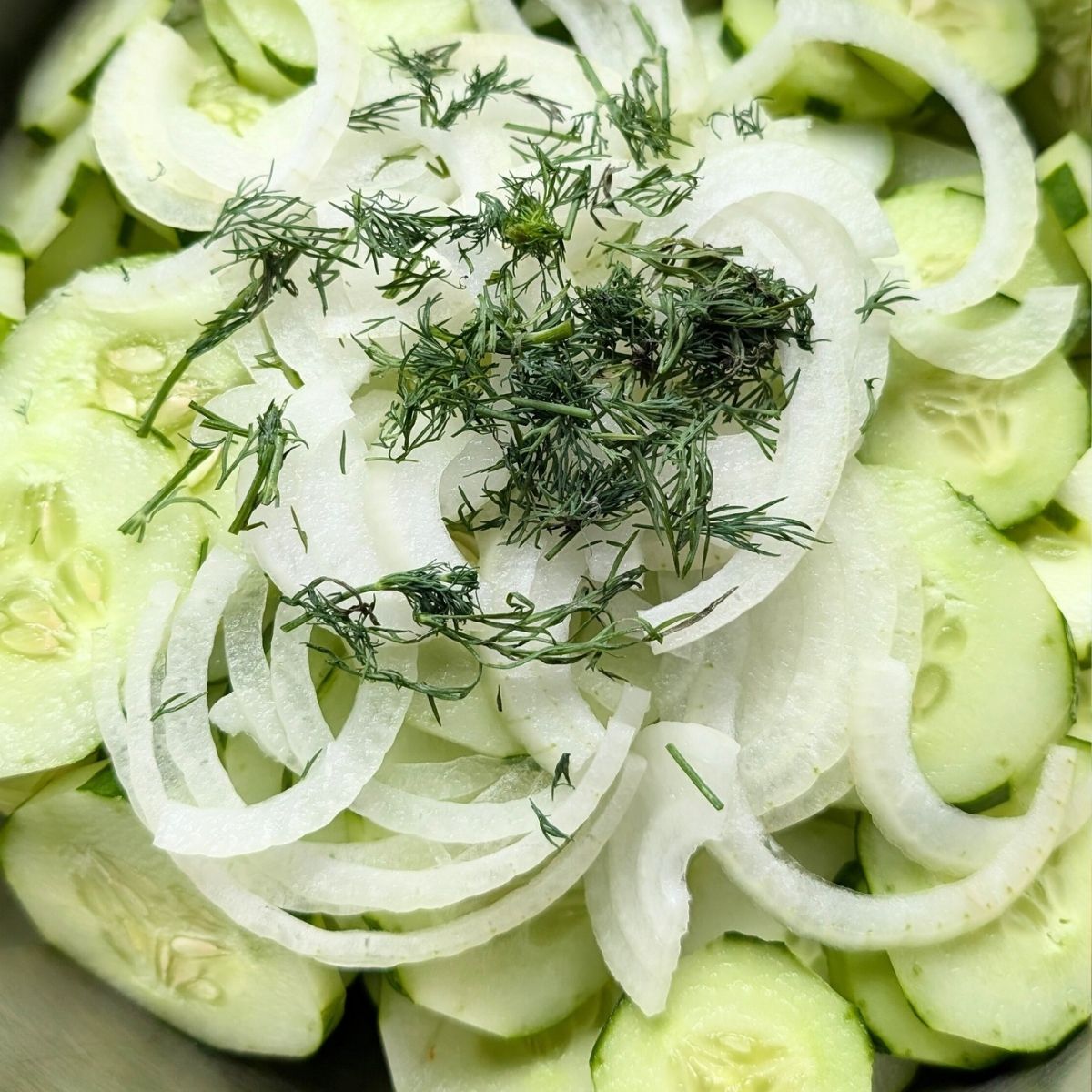 sliced cucumbers and onions with fresh dill in a salad bowl for a tasty summer side dish.