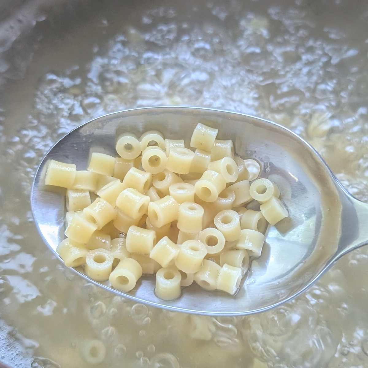 cooked ditalini pasta for pasta fagioli soup with lentils.