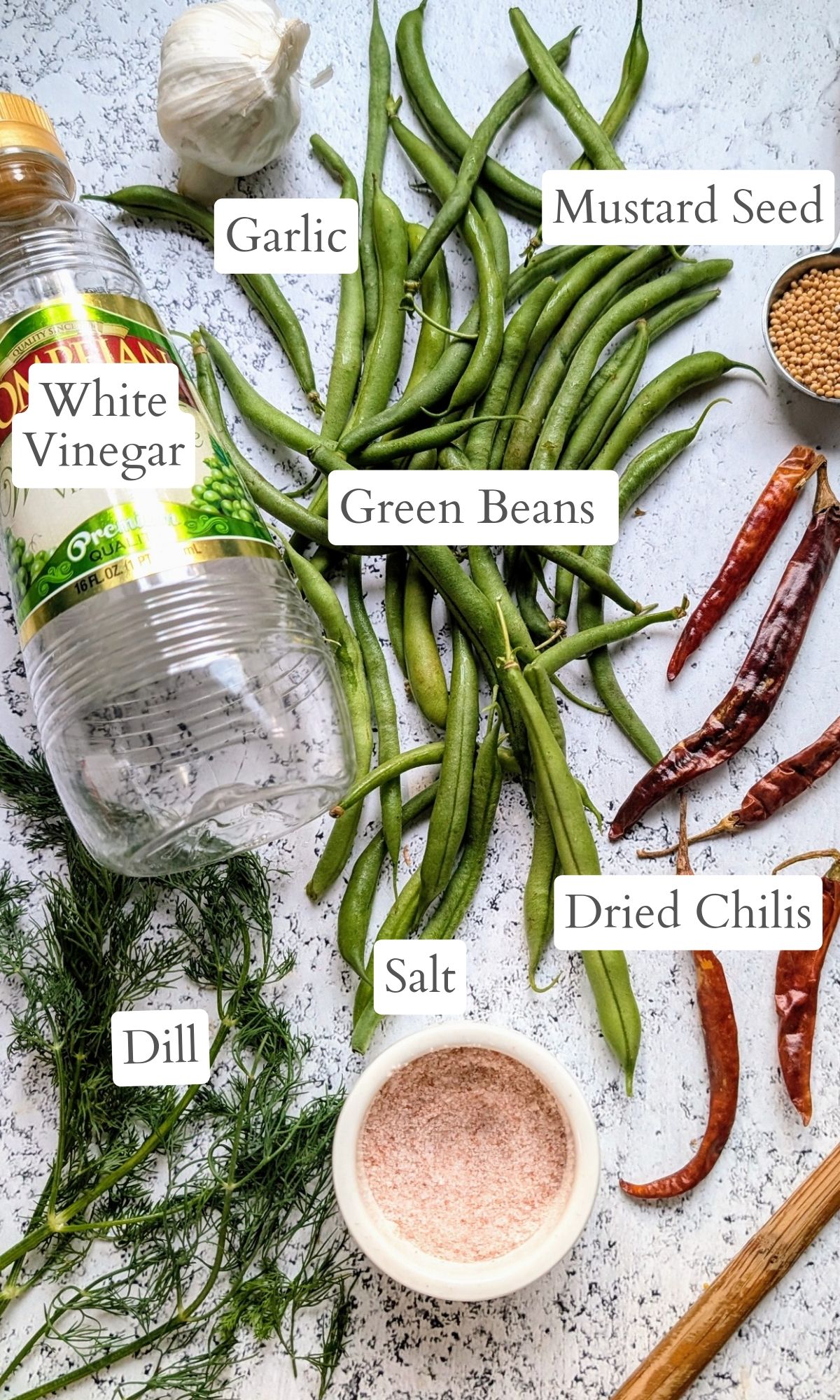 ingredients for pickled beans with dried chili peppers white vinegar dill grlic salt and garden fresh green beans/