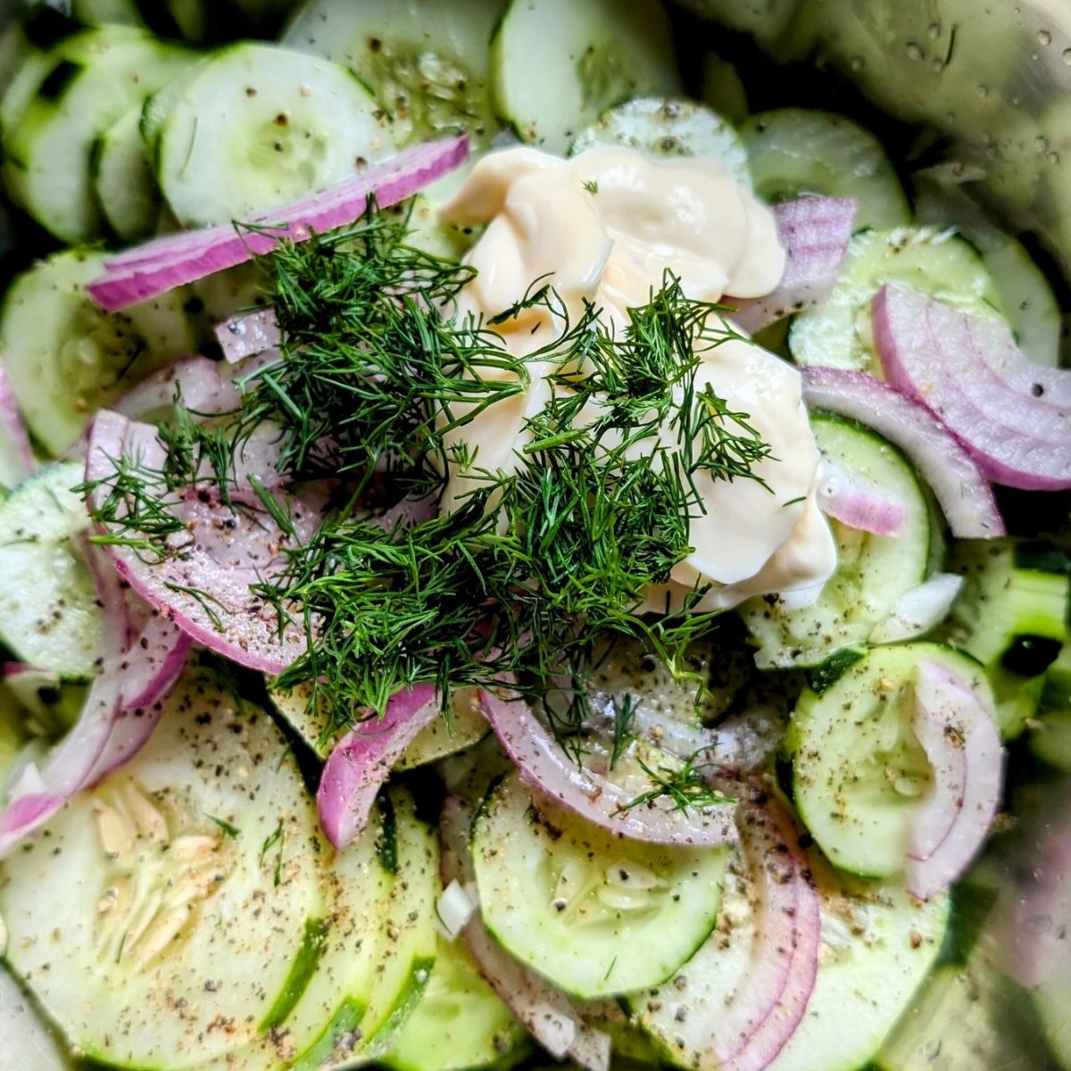 mayo and cucumber salad in a bowl with fresh dill red onions and a rice wine vinegar dressing.