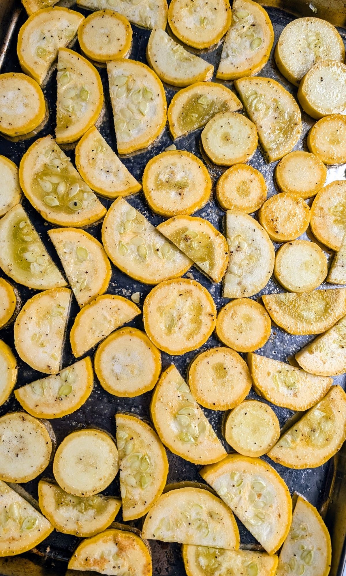 crookneck squash recipe with olive oil, salt, pepper, and garlic powder on a sheet pan.