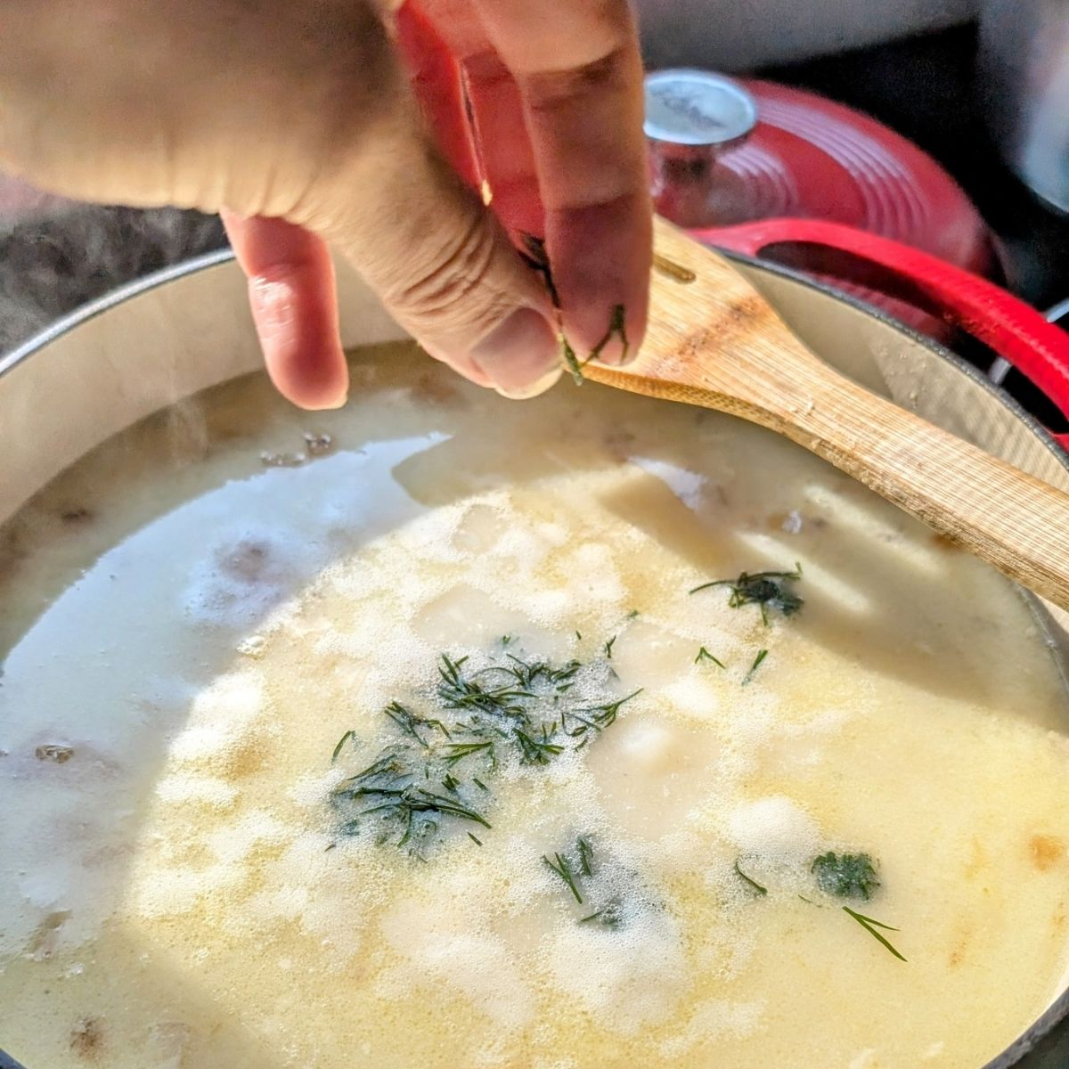 fresh dill being added to greek orzo avgolemono soup boiling in a large pot.