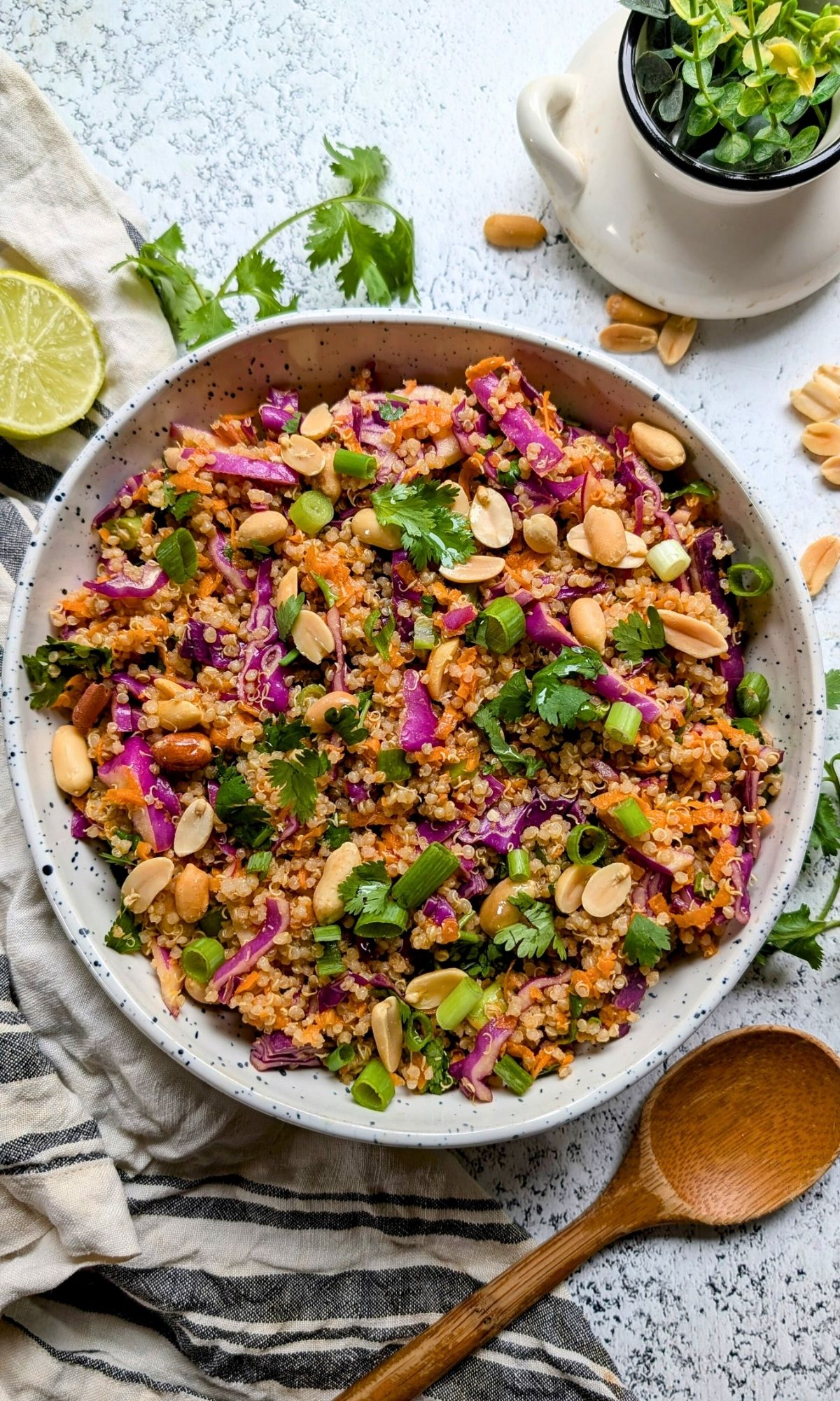 a large bowl of quinoa salad for our favorite easy summer potluck ideas with quinoa.