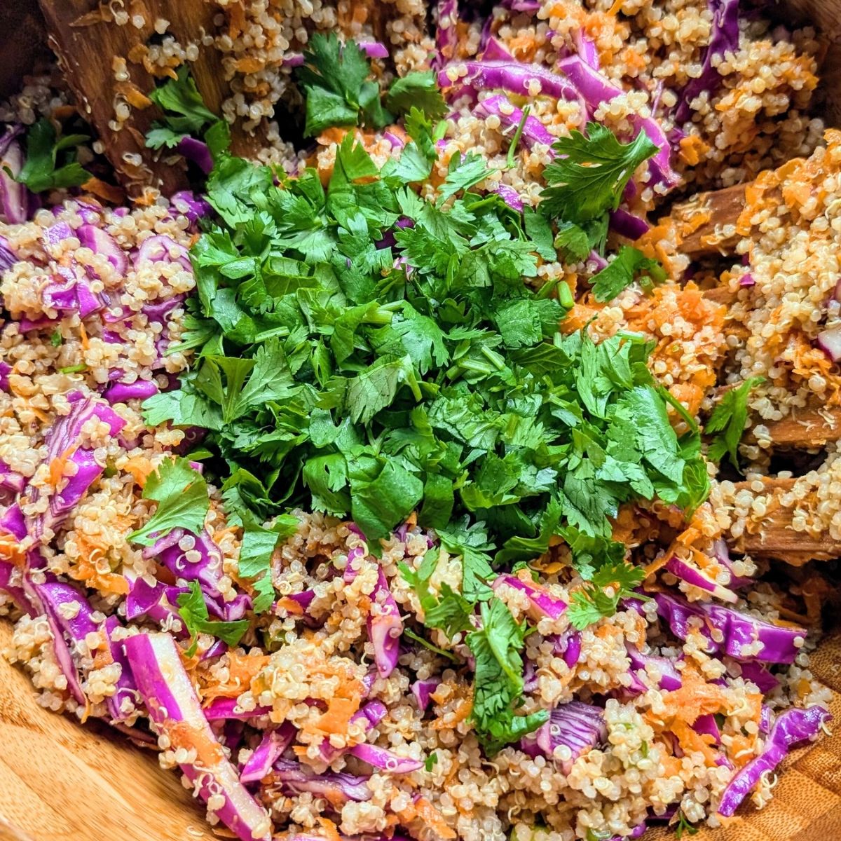 fresh chopped cilantro on top of peanut quinoa salad for the best easy vegan potluck recipes.