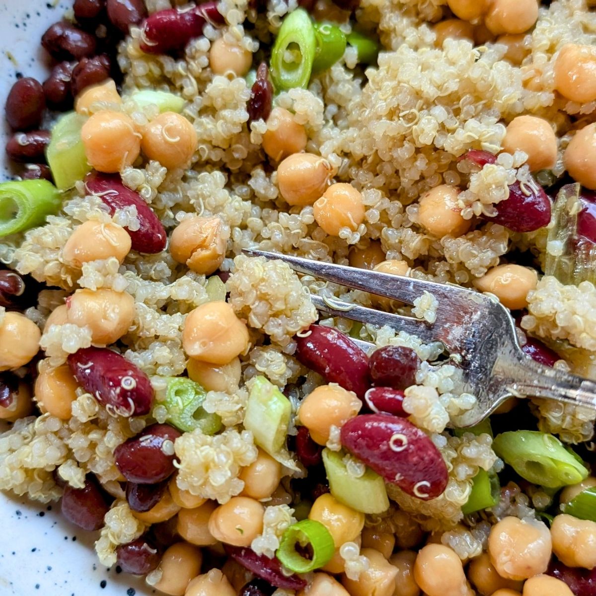 a bowl of mixed quinoa and bean salad, fluffed by a fork, for a tasty high protein vegan and vegetarian side dish or lunch option.