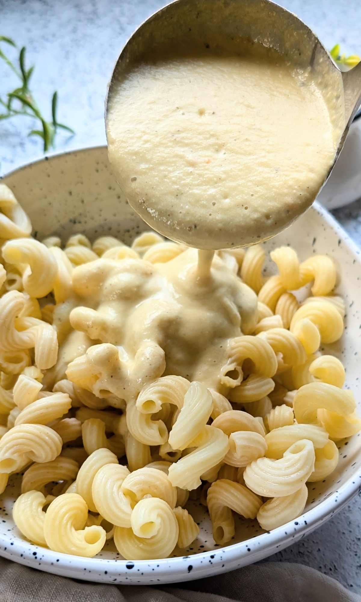 creamy dairy free acorn squash poured over cooked pasta for a creamy vegan fall pasta dinner idea.