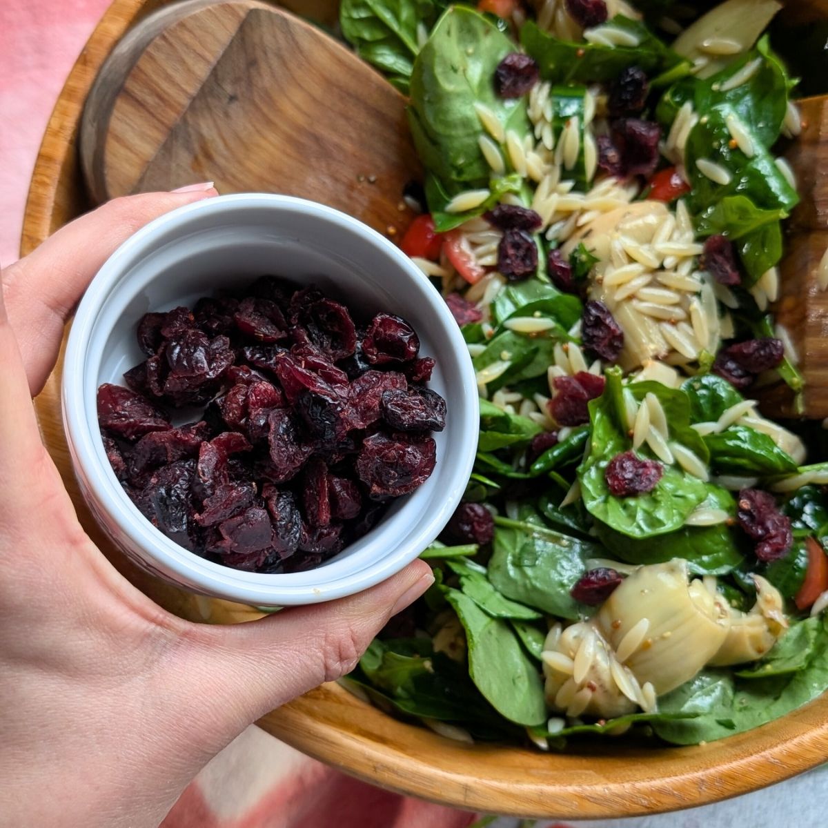 dried cranberries in pasta salad with orzo, feta cheese, spinach, and Mediterranean vegetables