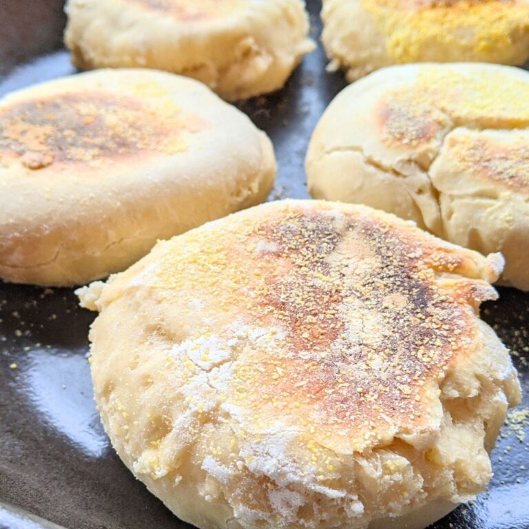 egg free sourgough muffins vegan dairy free breakfast recipes for breakfast sandwiches healthy homemade muffins