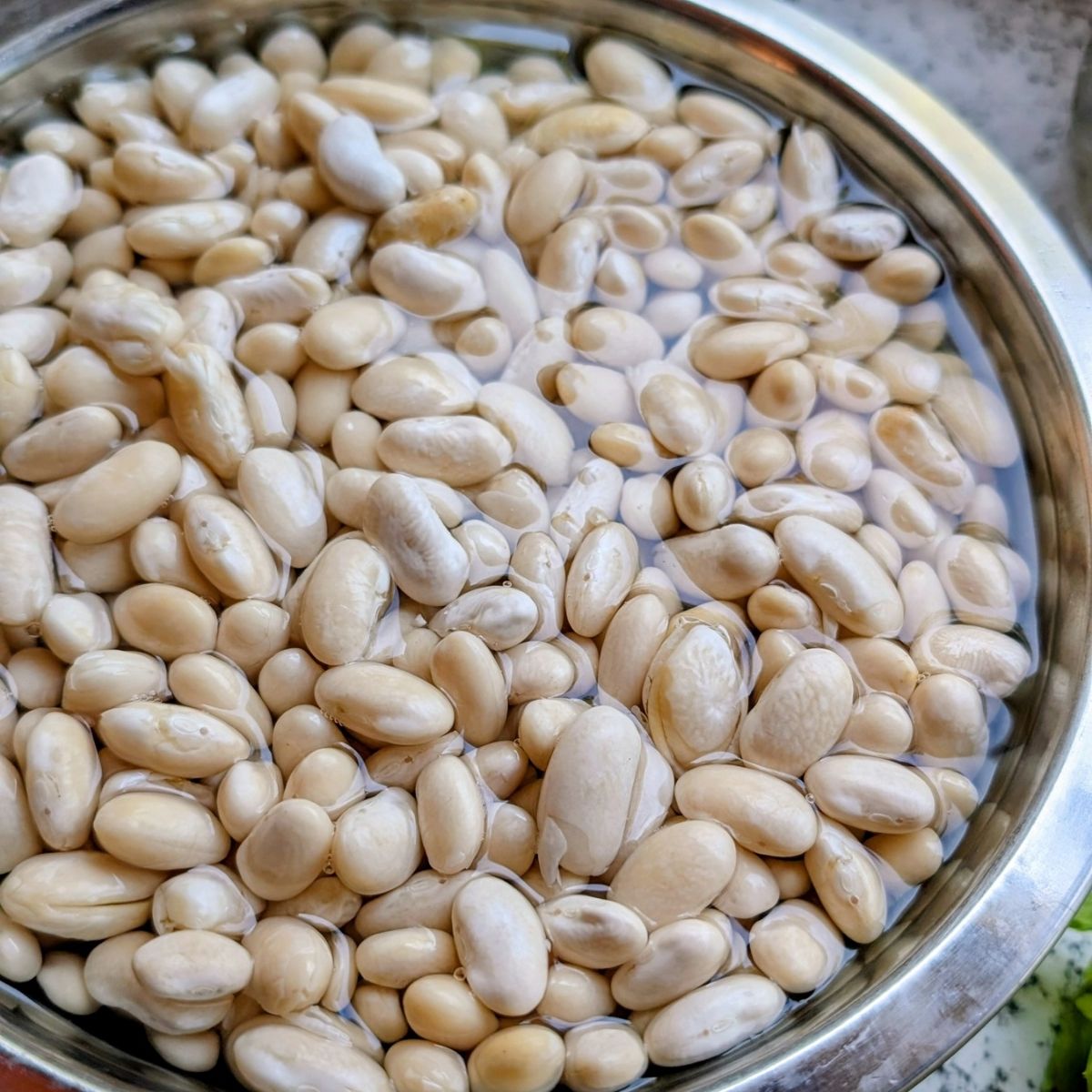 white beans soaked in water to make authentic greek fasolatha with dried beans